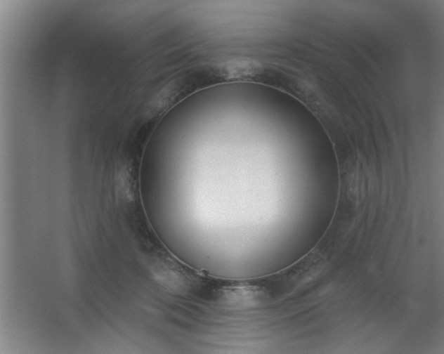 X0000062610316200512281510