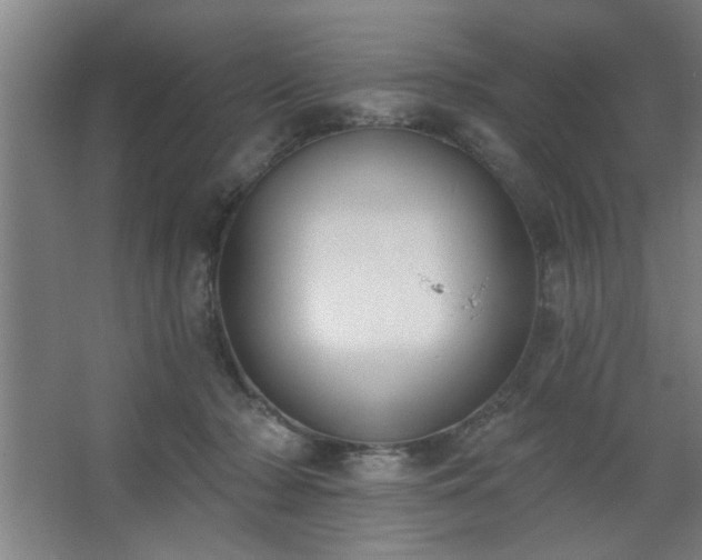 X0000062610318200512281510