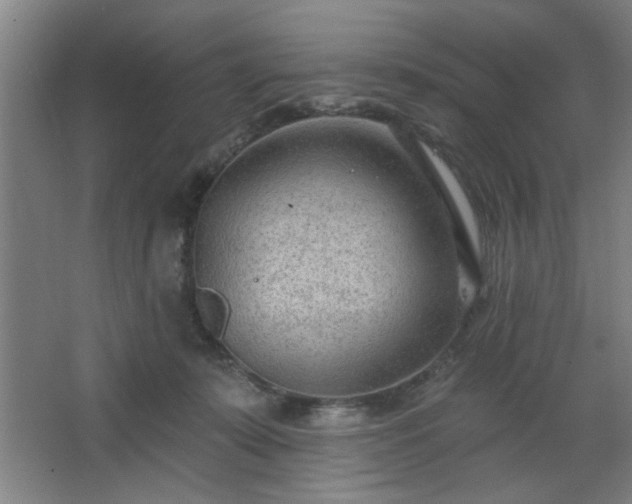 X0000062610319200512281510