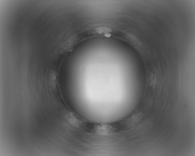 X0000062610321200512281510