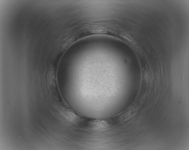 X0000062610322200512281510