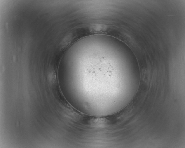 X0000062610324200512281510