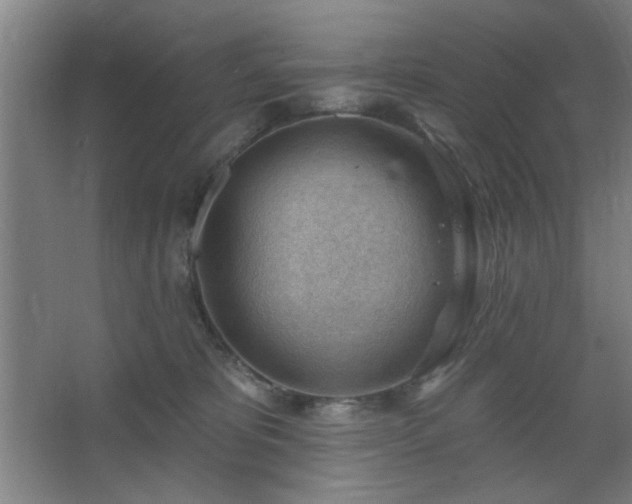 X0000062610325200512281510