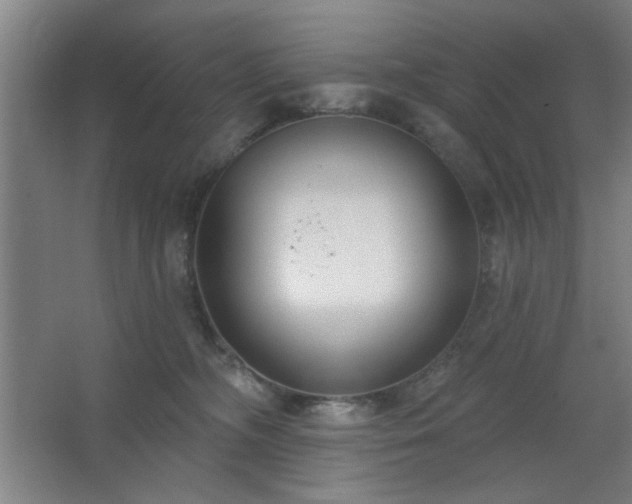 X0000062610326200512281510