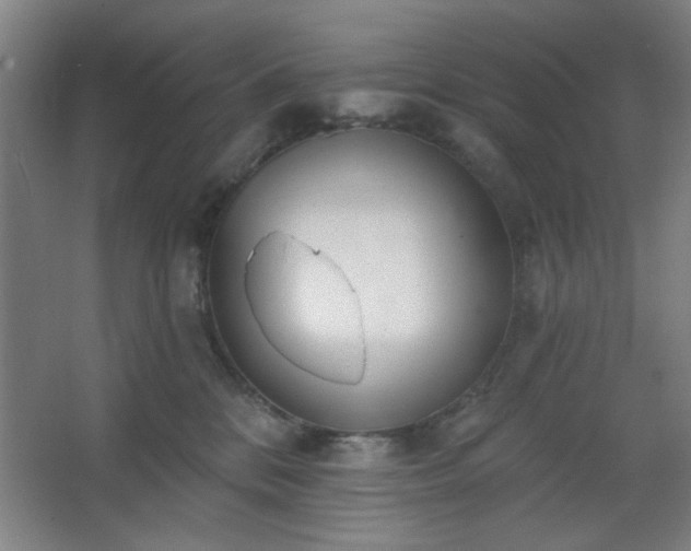 X0000062610328200512281510