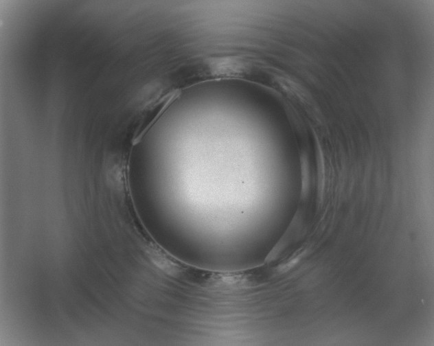 X0000062610329200512281510