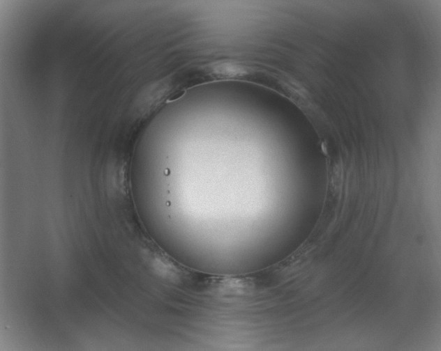 X0000062610330200512281510