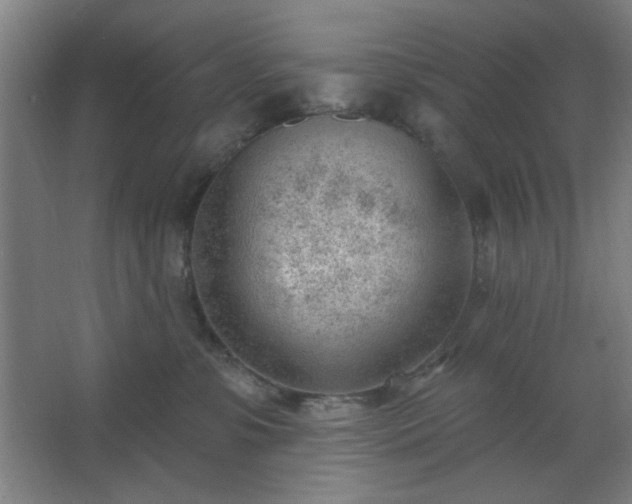 X0000062610331200512281510