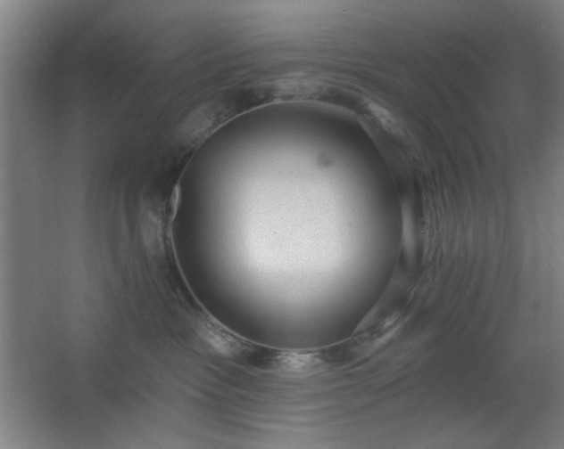 X0000062610333200512281510