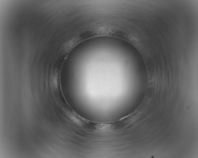 X0000062610334200512281510