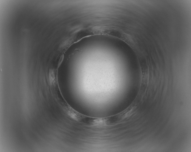 X0000062610335200512281510