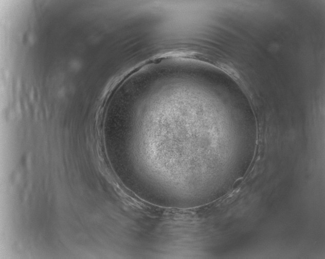 X0000062610337200512281509