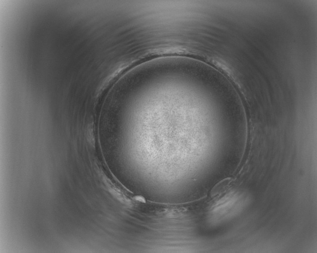 X0000062610345200512281509