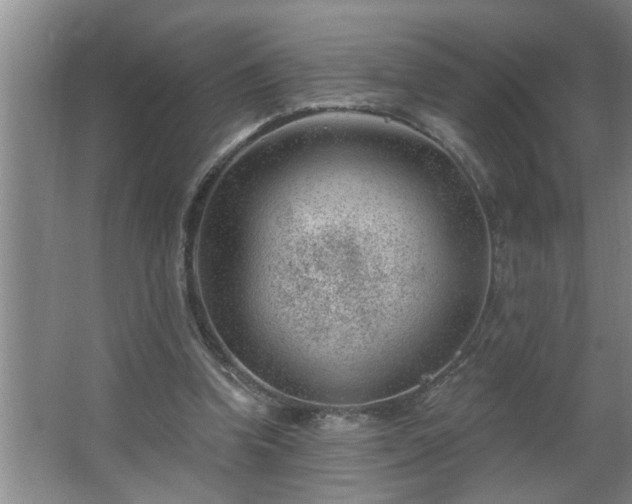 X0000062610346200512281509