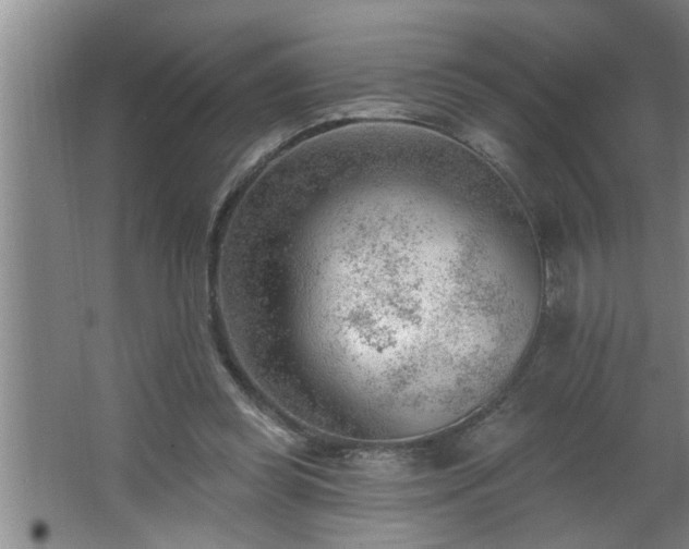 X0000062610349200512281509