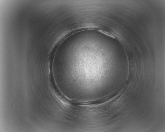 X0000062610350200512281509