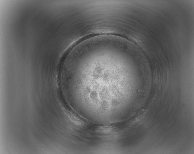 X0000062610351200512281509