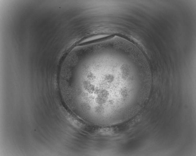 X0000062610353200512281509