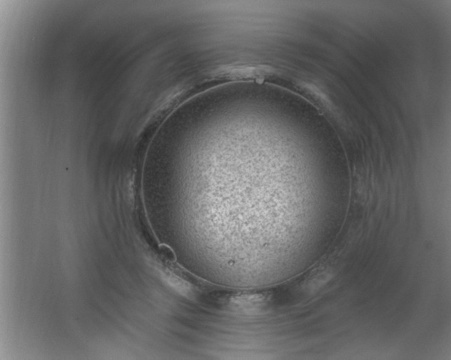 X0000062610357200512281509