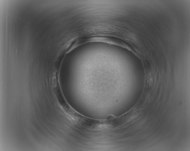 X0000062610360200512281509