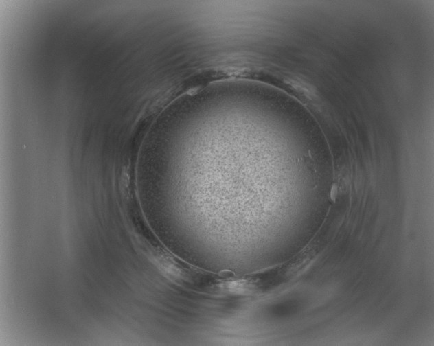 X0000062610365200512281509