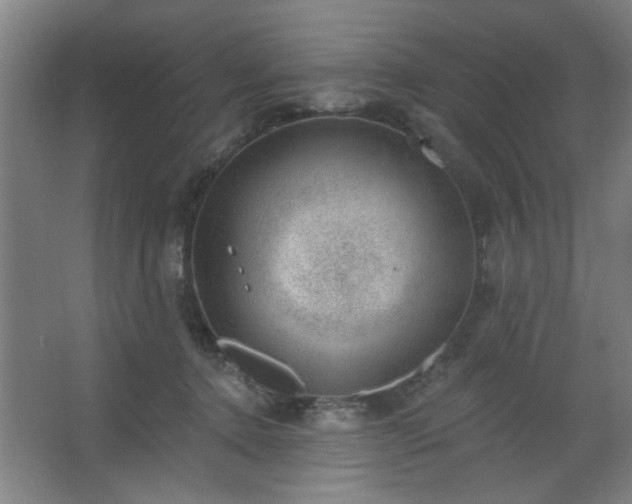 X0000062610368200512281509