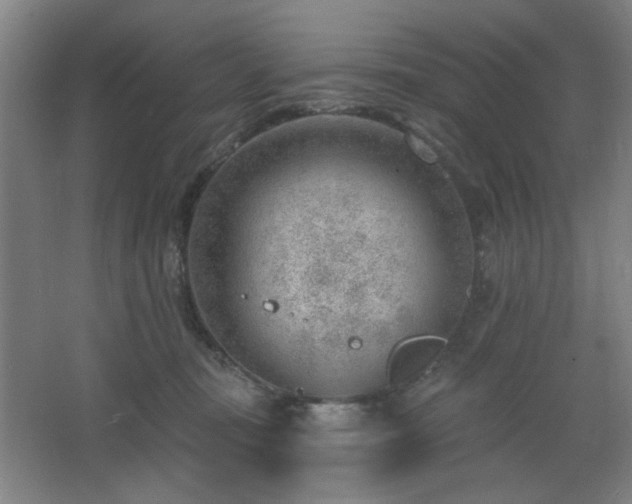 X0000062610371200512281510