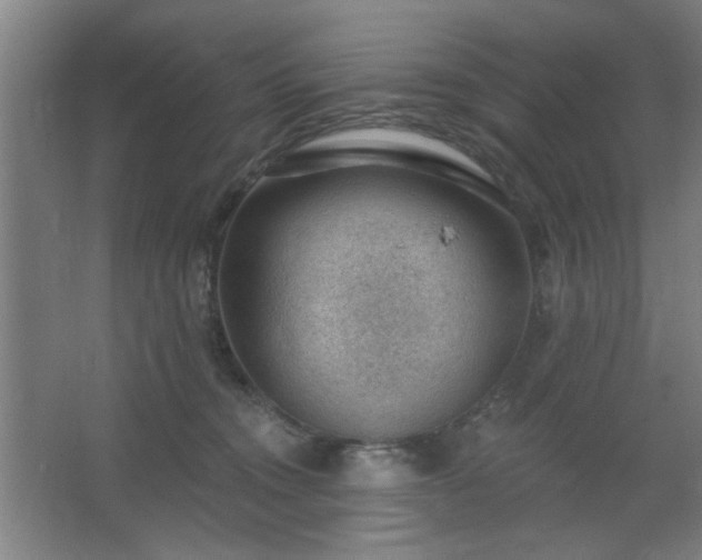 X0000062610372200512281510