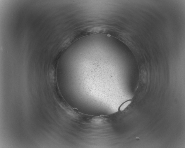 X0000062610375200512281510