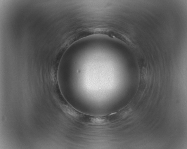 X0000062610380200512281510