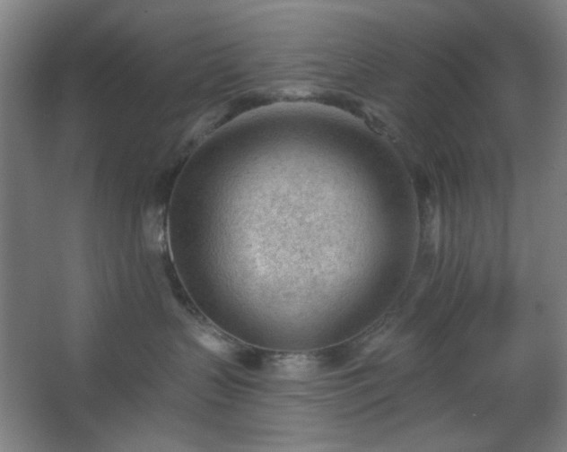 X0000062610383200512281510