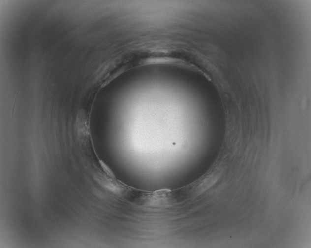 X0000062610384200512281510