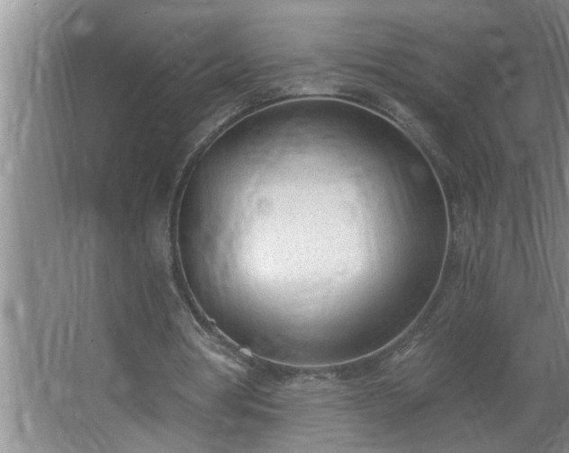 X0000062610386200512281509