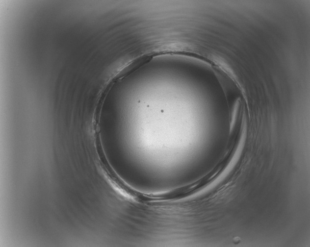 X0000062610389200512281509