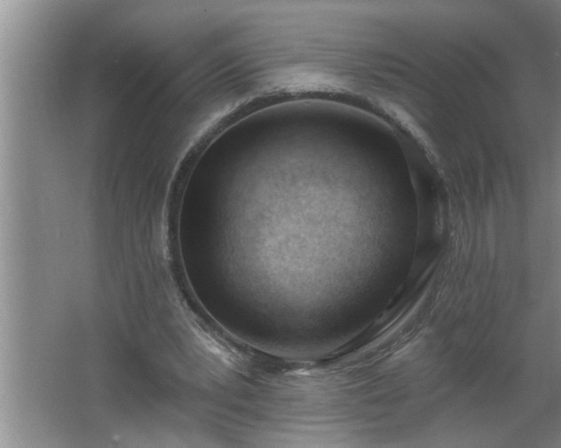 X0000062610391200512281509