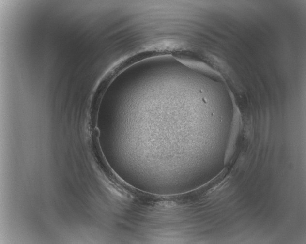 X0000062610392200512281509