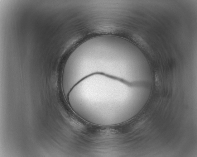 X0000062610396200512281509