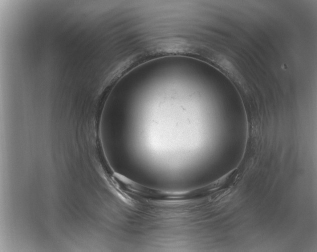 X0000062610397200512281509