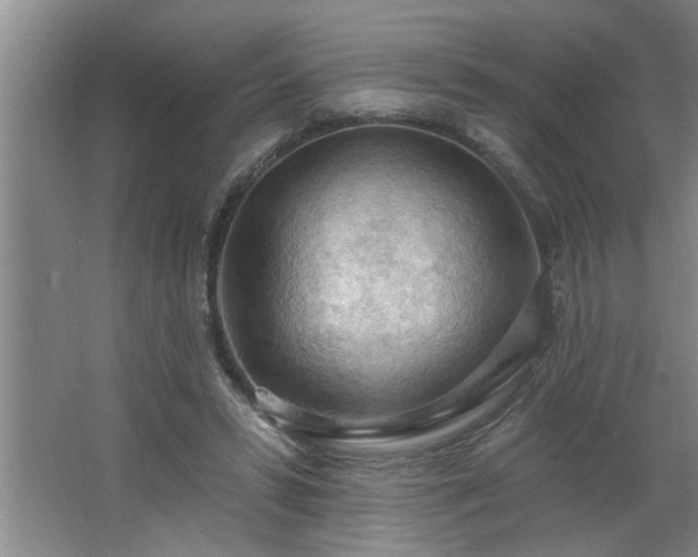 X0000062610399200512281509