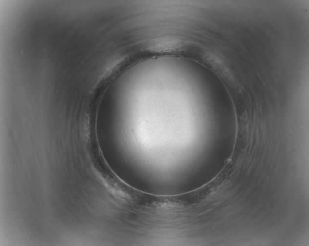 X0000062610400200512281509