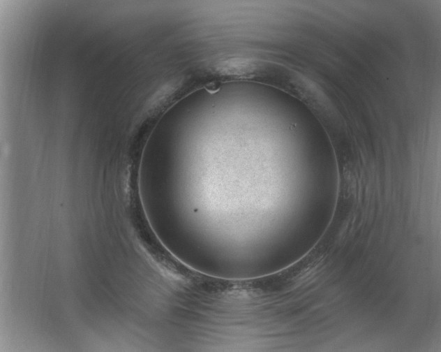 X0000062610404200512281509