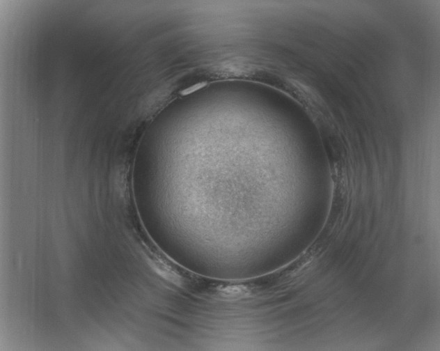 X0000062610409200512281509