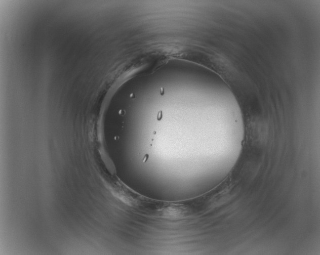 X0000062610412200512281508