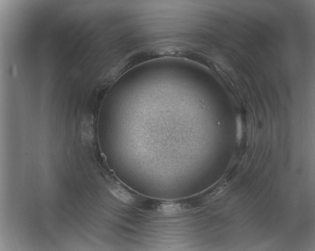 X0000062610413200512281508