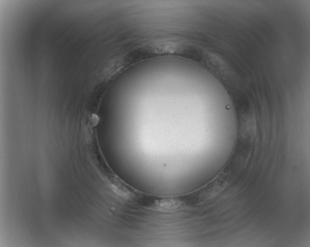 X0000062610414200512281508