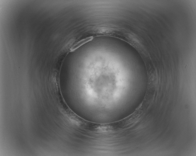 X0000062610415200512281508