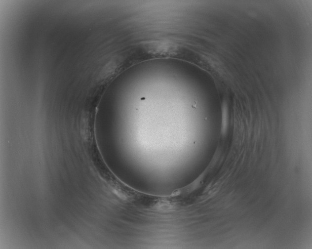 X0000062610416200512281508