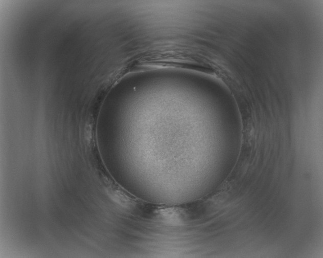 X0000062610417200512281508