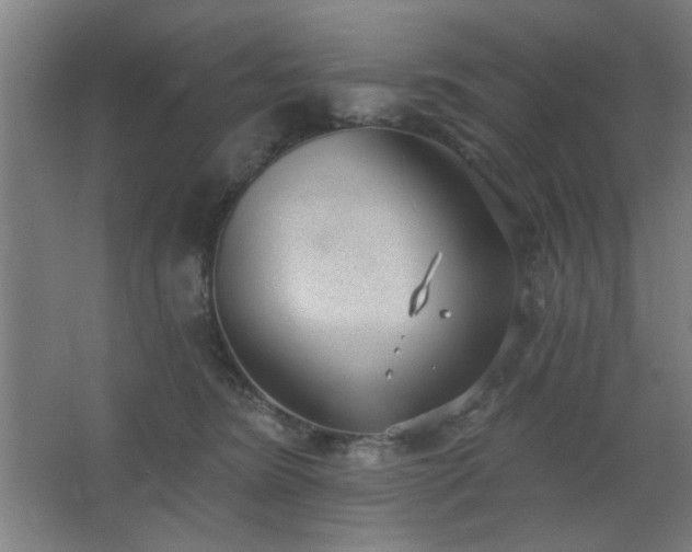 X0000062610420200512281508