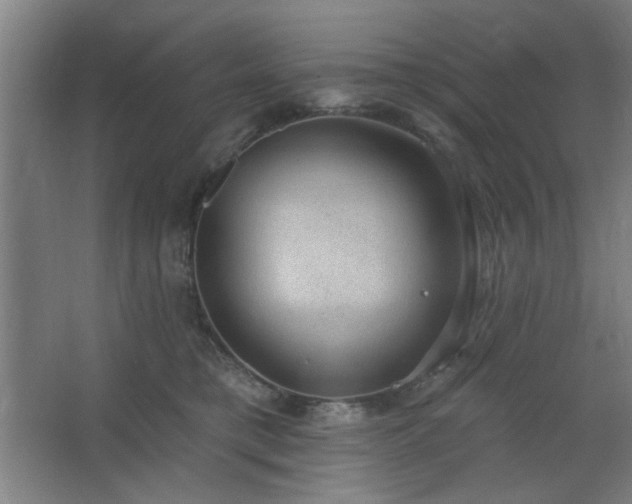 X0000062610421200512281508